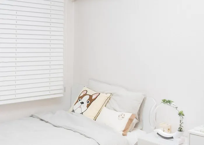 코지 B&B