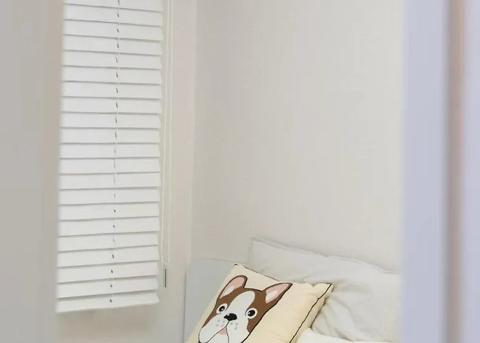 코지 * 서울특별시