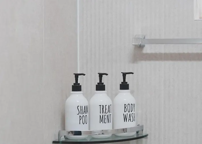 B&B 코지